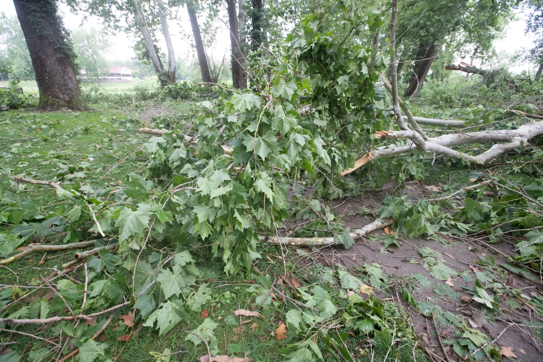071121-owh-stormdamage-LS04.JPG